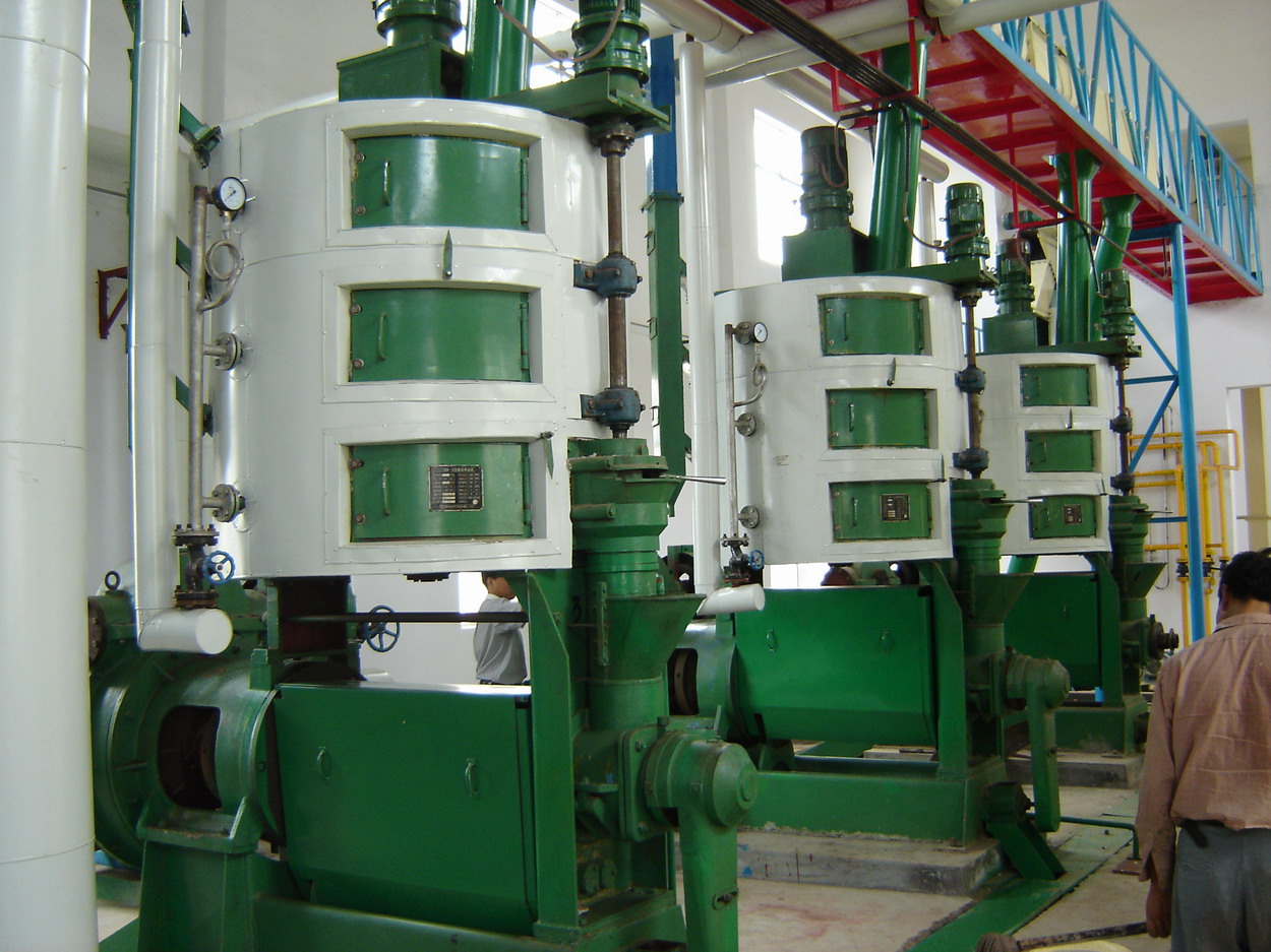 Peanut oil press production line in Henan Province